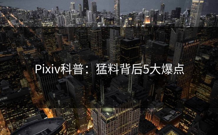 Pixiv科普:猛料背后5大爆点