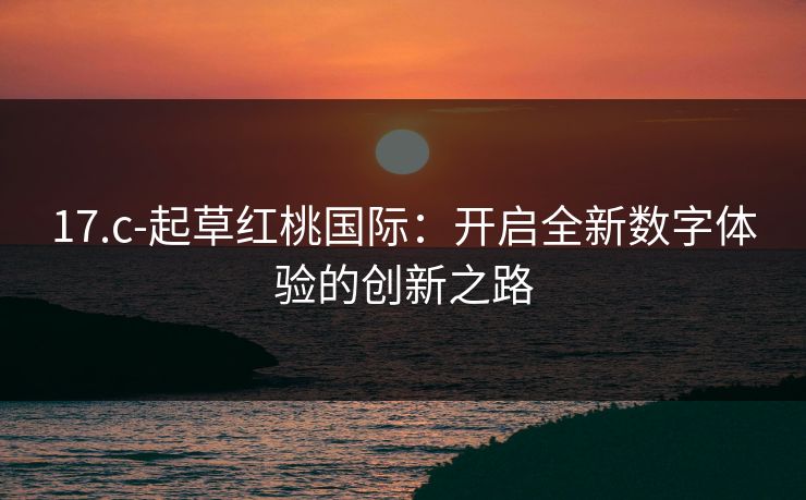 17.c-起草红桃国际：开启全新数字体验的创新之路