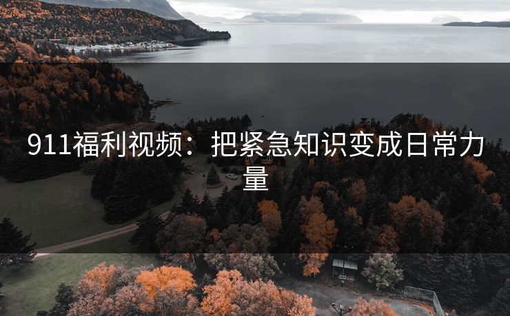 911福利视频：把紧急知识变成日常力量